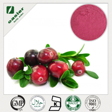 Cranberry Fruit Powder