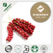 Schisandra Extract
