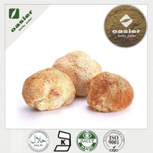 LION'S MANE EXTRACT
