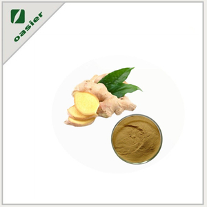 Kosher& Halal Certified 100% Natural Ginger Root Extract