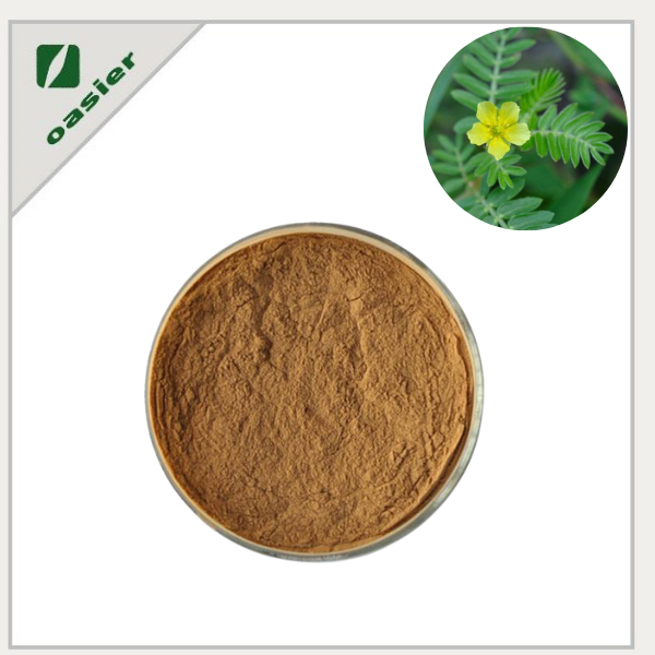 Tribulus Terrestris Saponin Extract