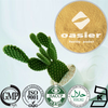 Cactus Extract