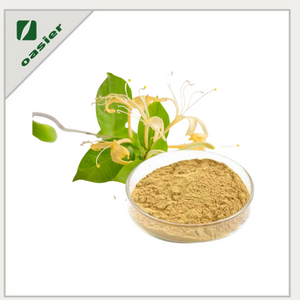 Market Supply Lonicera Japonica Extract