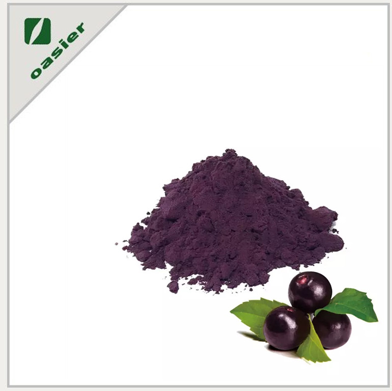 Manufacture Supply Plant Extract Maqui berry Extract