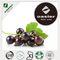 Black Current Extract 