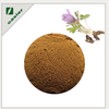 Pulsatilla Extract Supplement