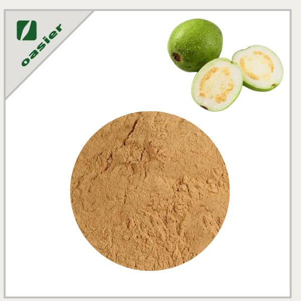 Terminalia Chebula Extract Powder