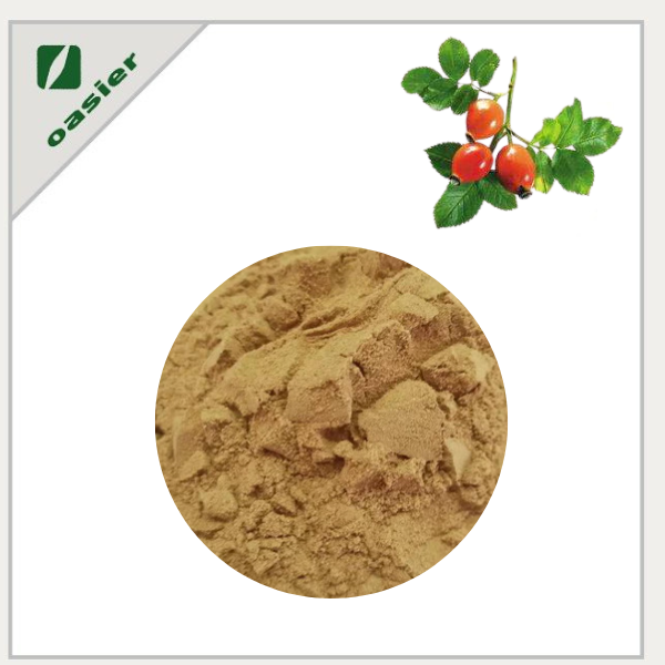 Rose Hip Extract Supplement