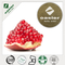  Pomegranate Peel Extract